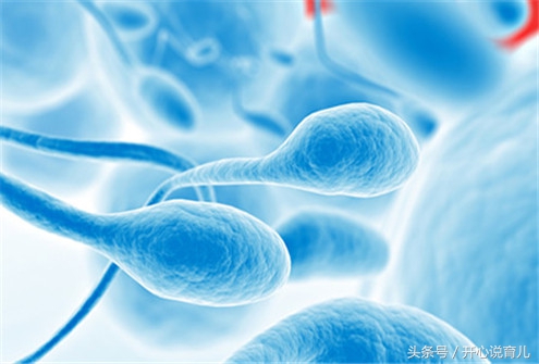 备孕期用暖水袋热敷会提高受孕吗,备孕汤水提高受孕的几率