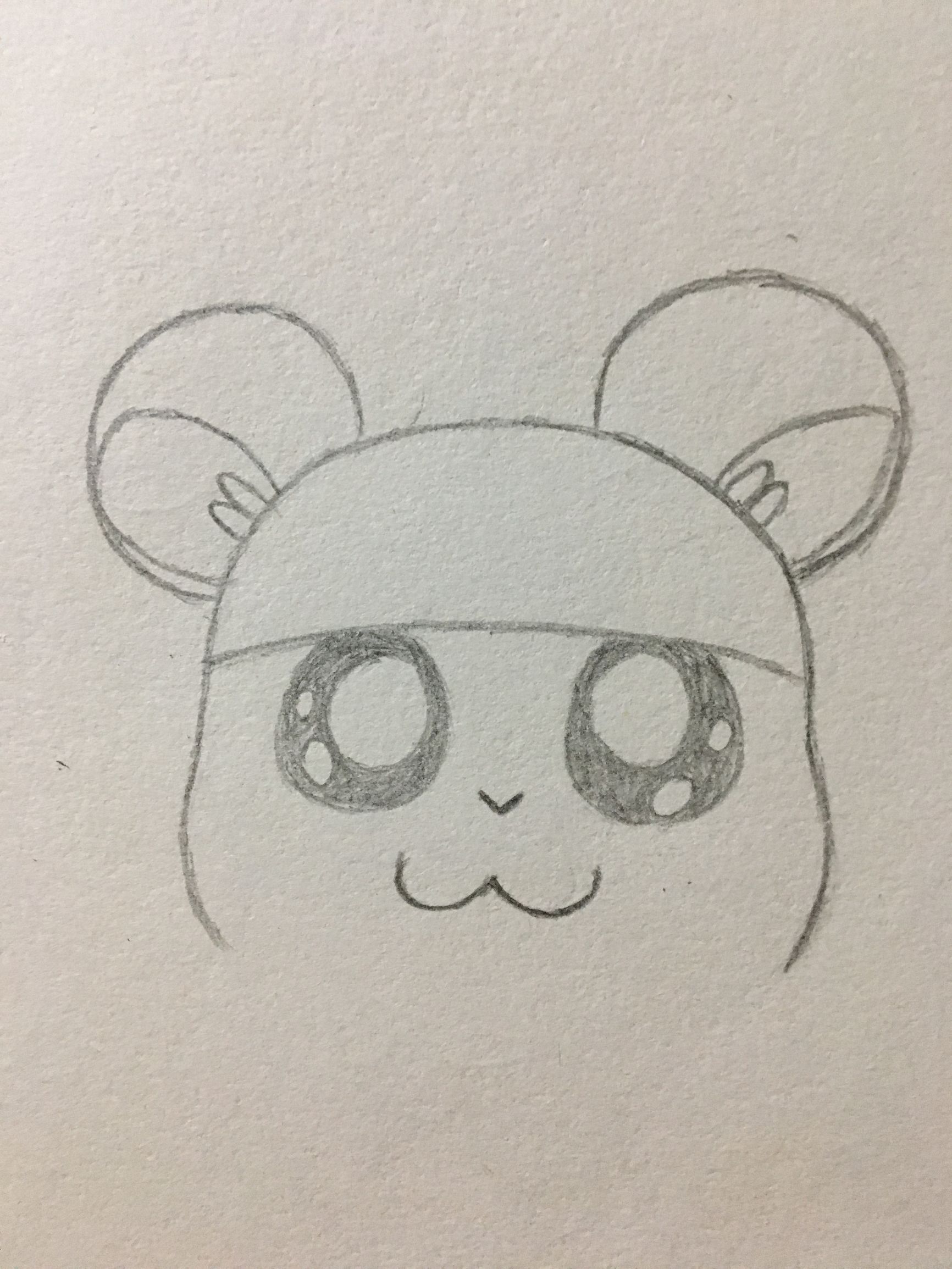 仓鼠的屋子的简笔画,简笔画小仓鼠