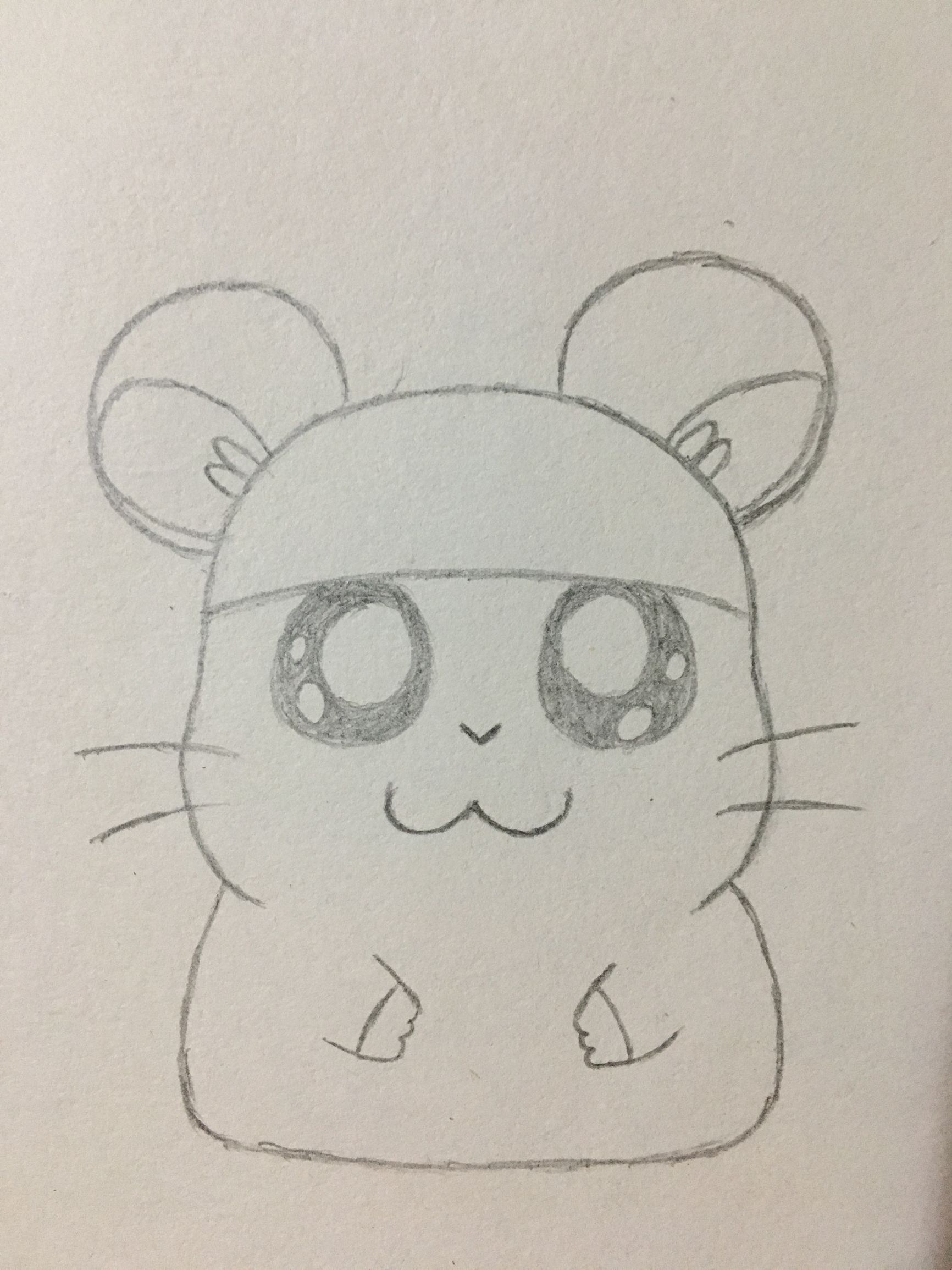 仓鼠的屋子的简笔画,简笔画小仓鼠