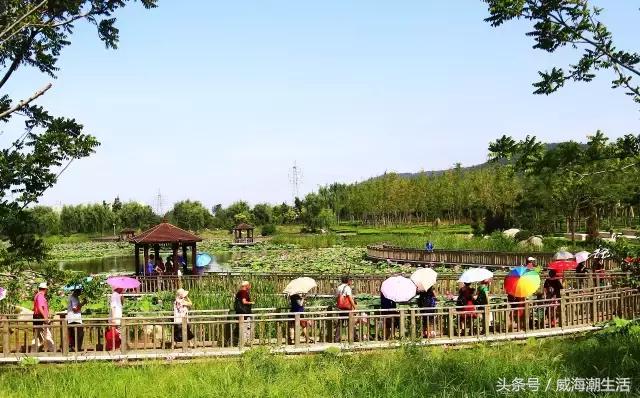 威海新开的公园,威海新建公园