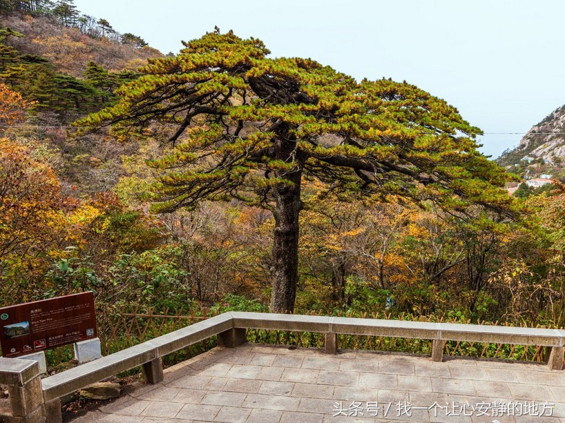 黄山攻略二日游多少钱,到黄山二日游攻略自驾路线