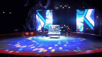 实探冰雪武汉,大马戏武汉市