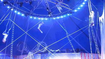 实探冰雪武汉,大马戏武汉市