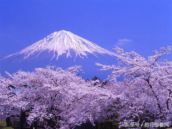 2019年中国人去日本旅游人数,不交税还能到日本旅游吗