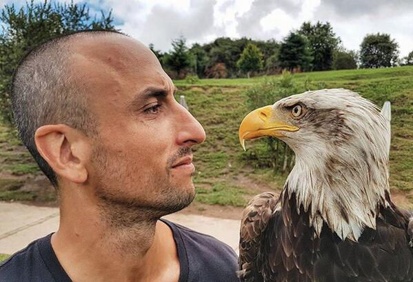 致敬马努吉诺比利,马努吉诺比利图片