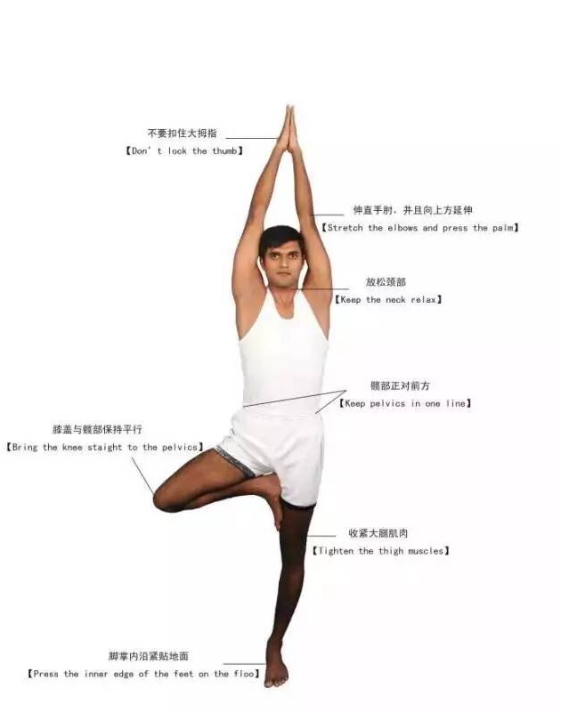 会阴收束法瑜伽体式的练习