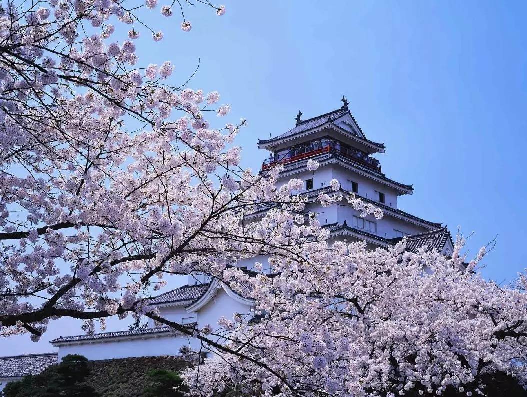 去日本必买的10大开价美妆 (去日本必买的清妆店)