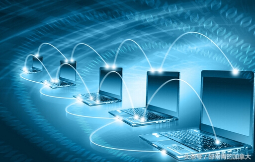 加拿大留学移民哪个专业比较好？