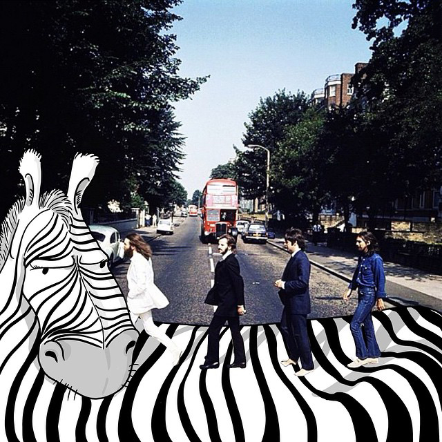 趣味搞怪幽默插画视频,魔性可爱的插画