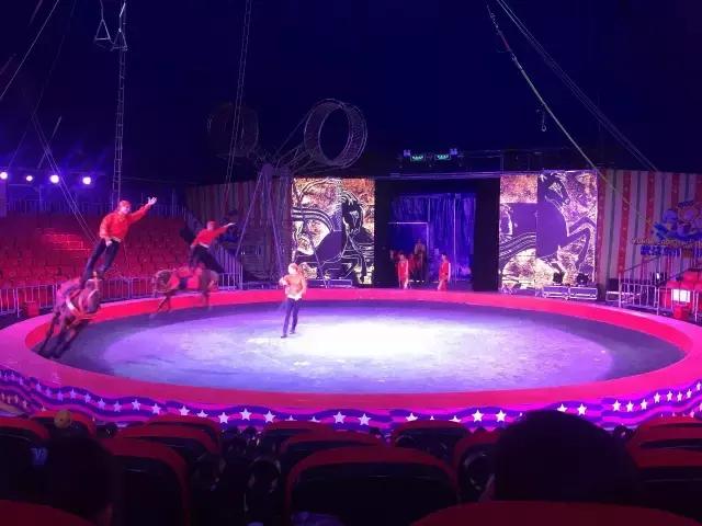 实探冰雪武汉,大马戏武汉市