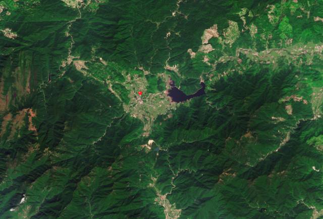 喝起来香醇浓厚的红茶,杏仁香古树红茶