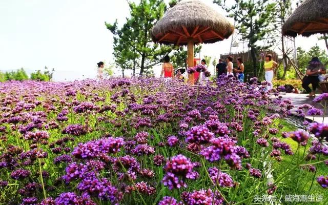 威海新开的公园,威海新建公园