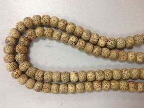 星月入门指南｜这几个问题你不懂就糗大了