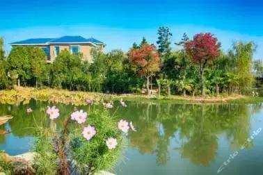 租房车去哪里比较好,租房车的地方