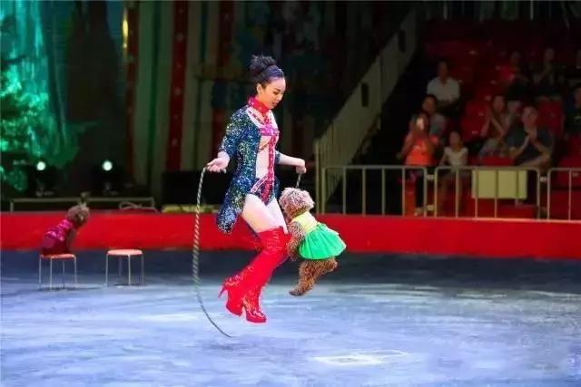 实探冰雪武汉,大马戏武汉市