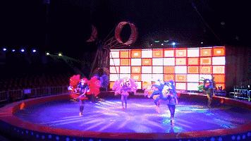 实探冰雪武汉,大马戏武汉市