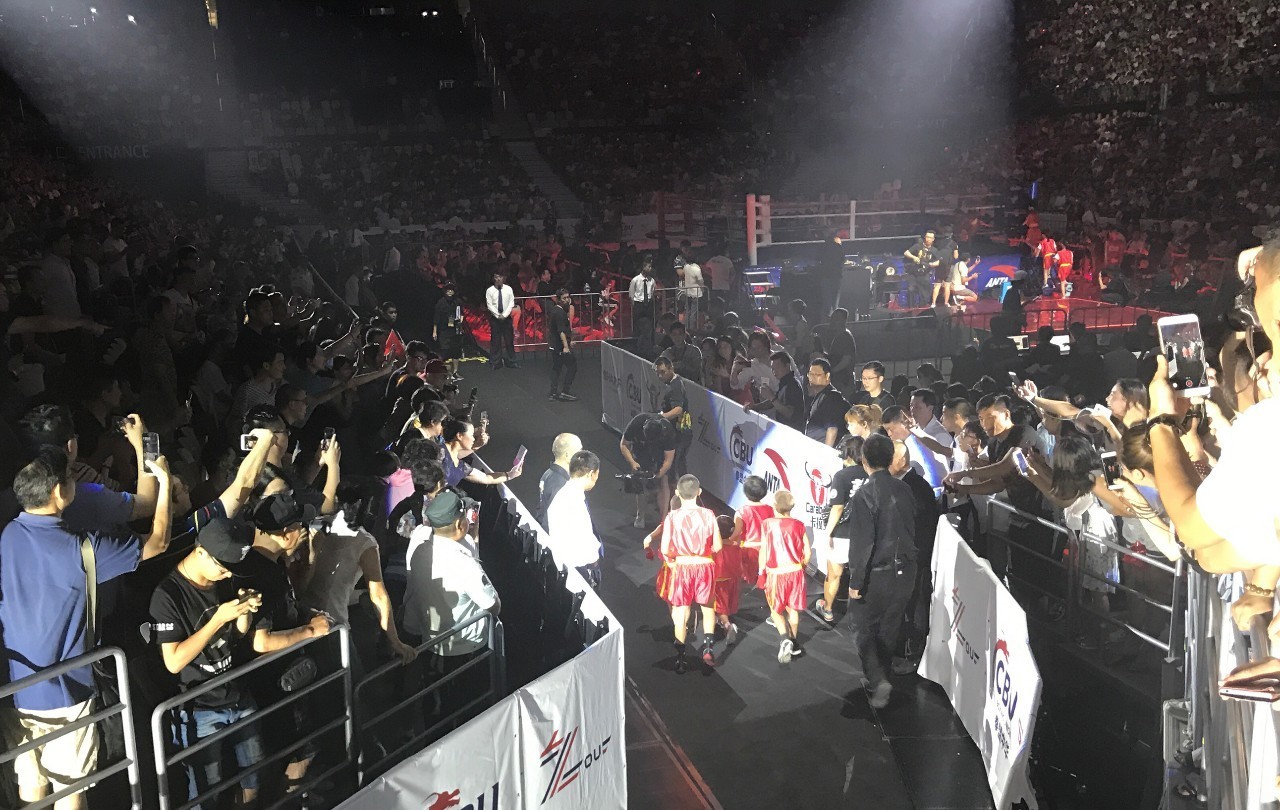 邹市明最后一战,邹市明的成长经历