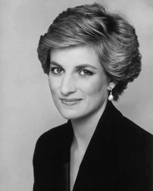 威廉王子兄弟追忆戴安娜王妃,威廉王子兄弟看戴安娜纪录片