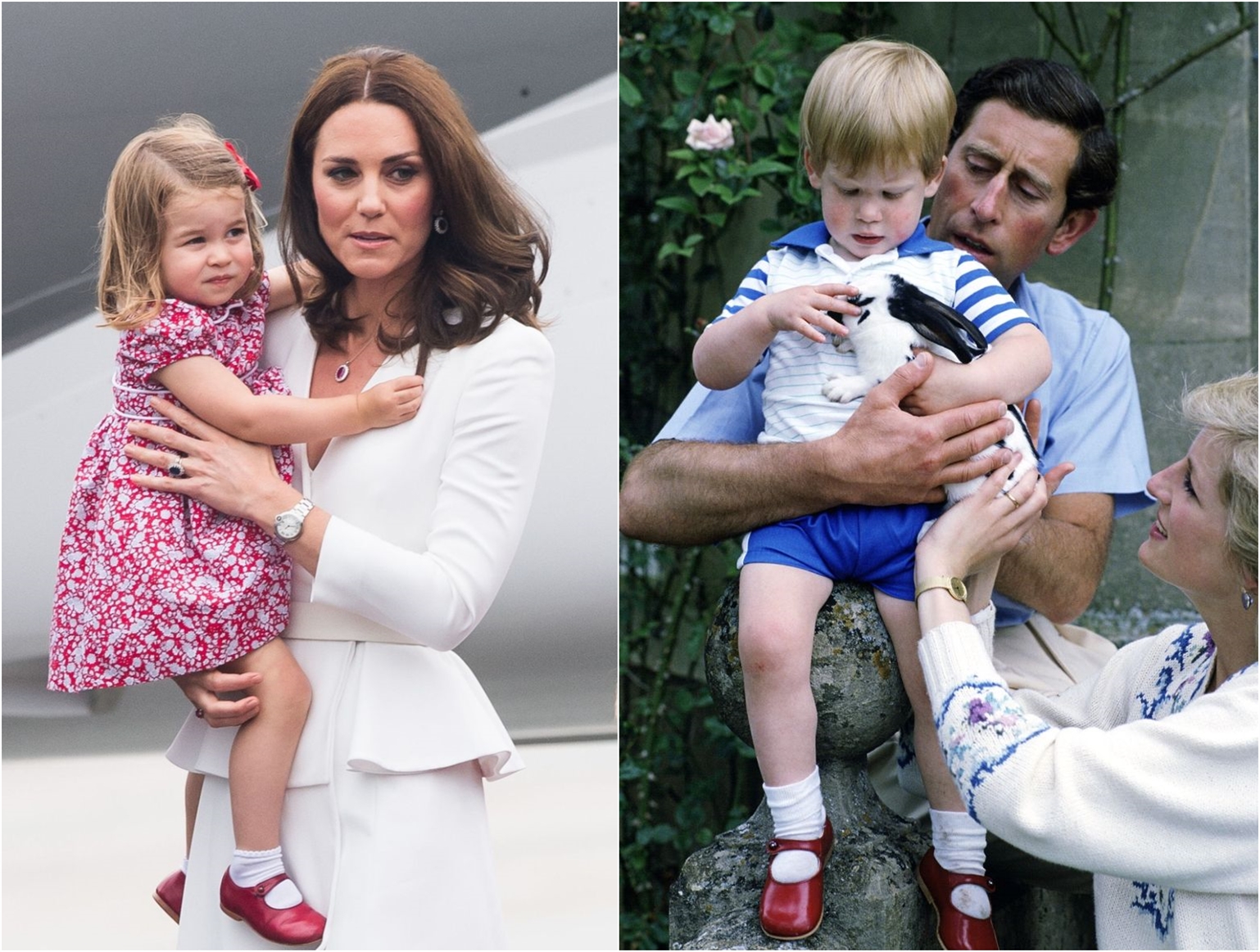 威廉王子兄弟追忆戴安娜王妃,威廉王子兄弟看戴安娜纪录片