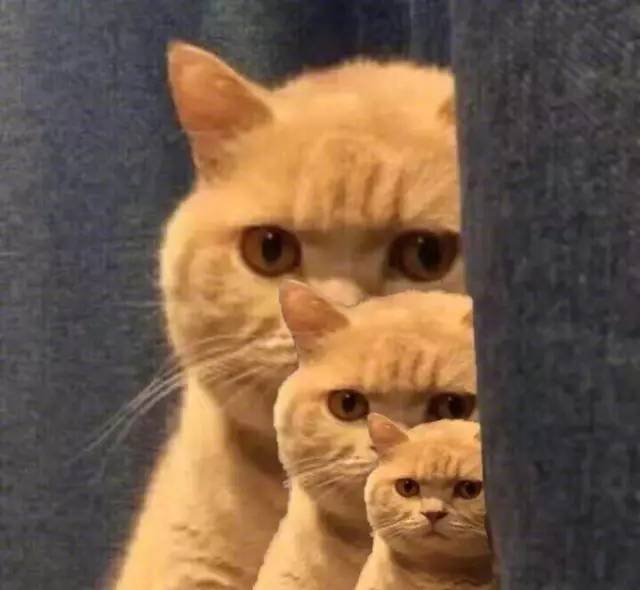 “恋童癖”背后，竟隐藏着如此庞大的产业链！