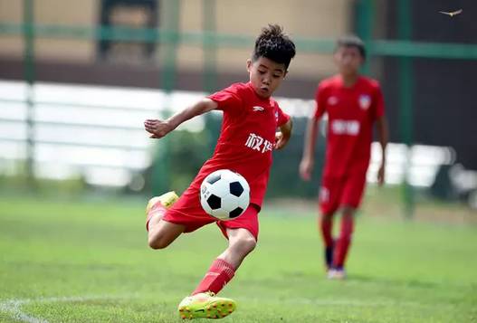 权健足球俱乐部老板,权健老板