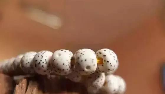 星月入门指南｜这几个问题你不懂就糗大了