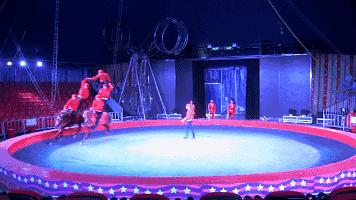 实探冰雪武汉,大马戏武汉市