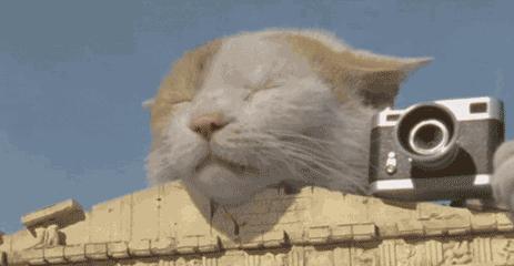 旅游途中的浪漫举动,旅行的行为习惯