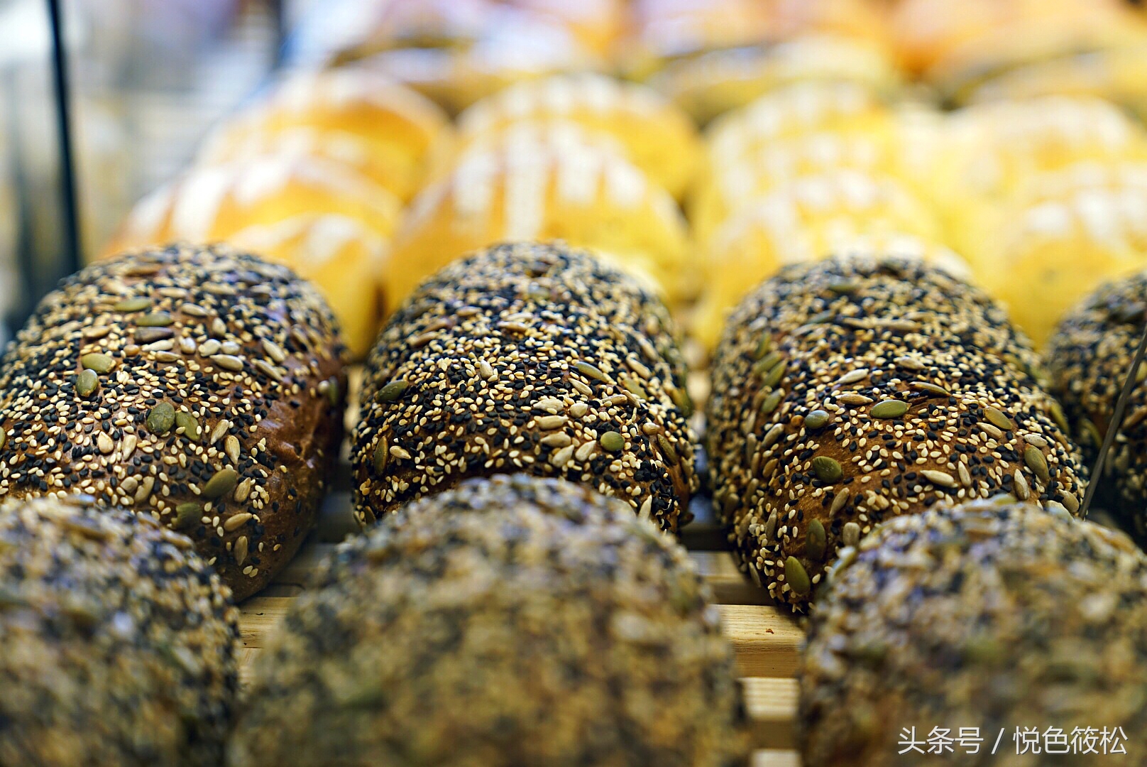 原麦山丘比其它面包好在哪,大连全麦面包哪家好吃