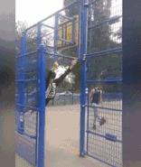 每日笑报兄弟！你这辆能焗油的车，不便宜吧？