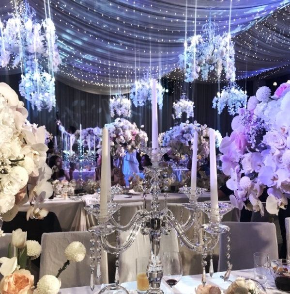 王思聪前女友雪梨个人简历,王思聪和网红美女