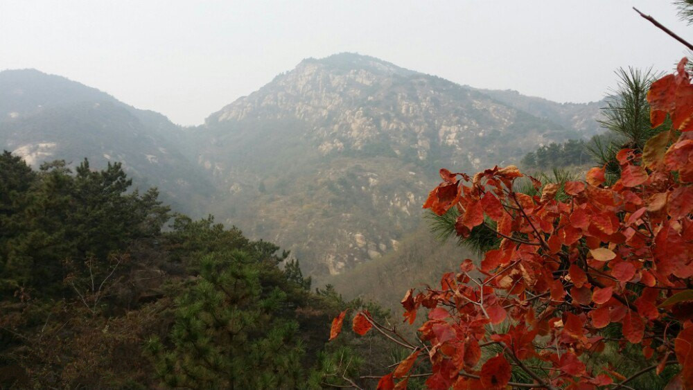 莱芜房干生态景区怎么样,莱芜房干山自然风光