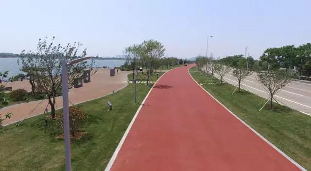 樱花湖赏樱花的最佳位置,樱花湖上