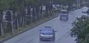 鱼缸养虾视频,鱼缸养大眼贼虾