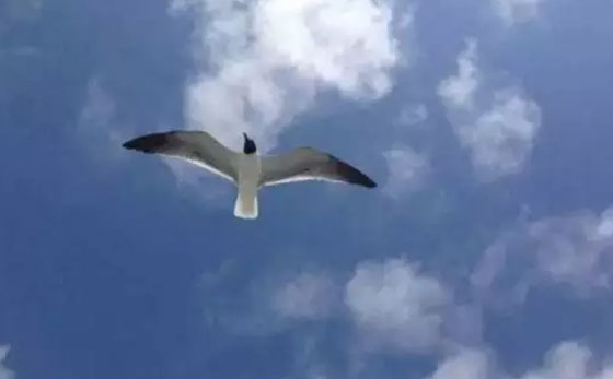 夏季心脏不好的人千万别做三件事,怎么才能养心对心脏好