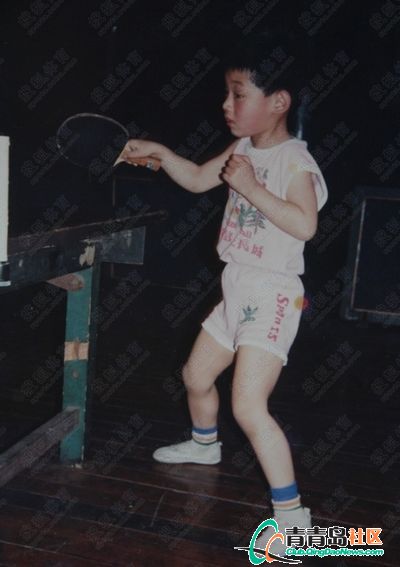 张继科乒乓球事业发展史,张继科的乒乓球之路