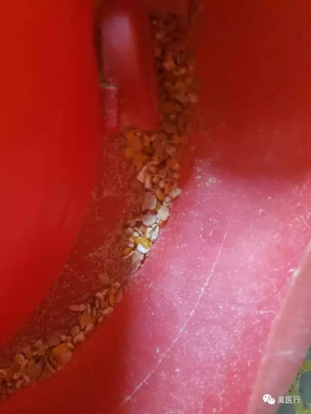 腺肌胃炎，我想买个冒火的加特林哒哒死你
