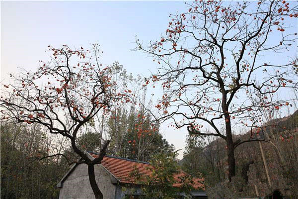 莱芜房干生态景区怎么样,莱芜房干山自然风光