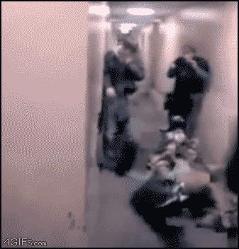 鱼缸养虾视频,鱼缸养大眼贼虾