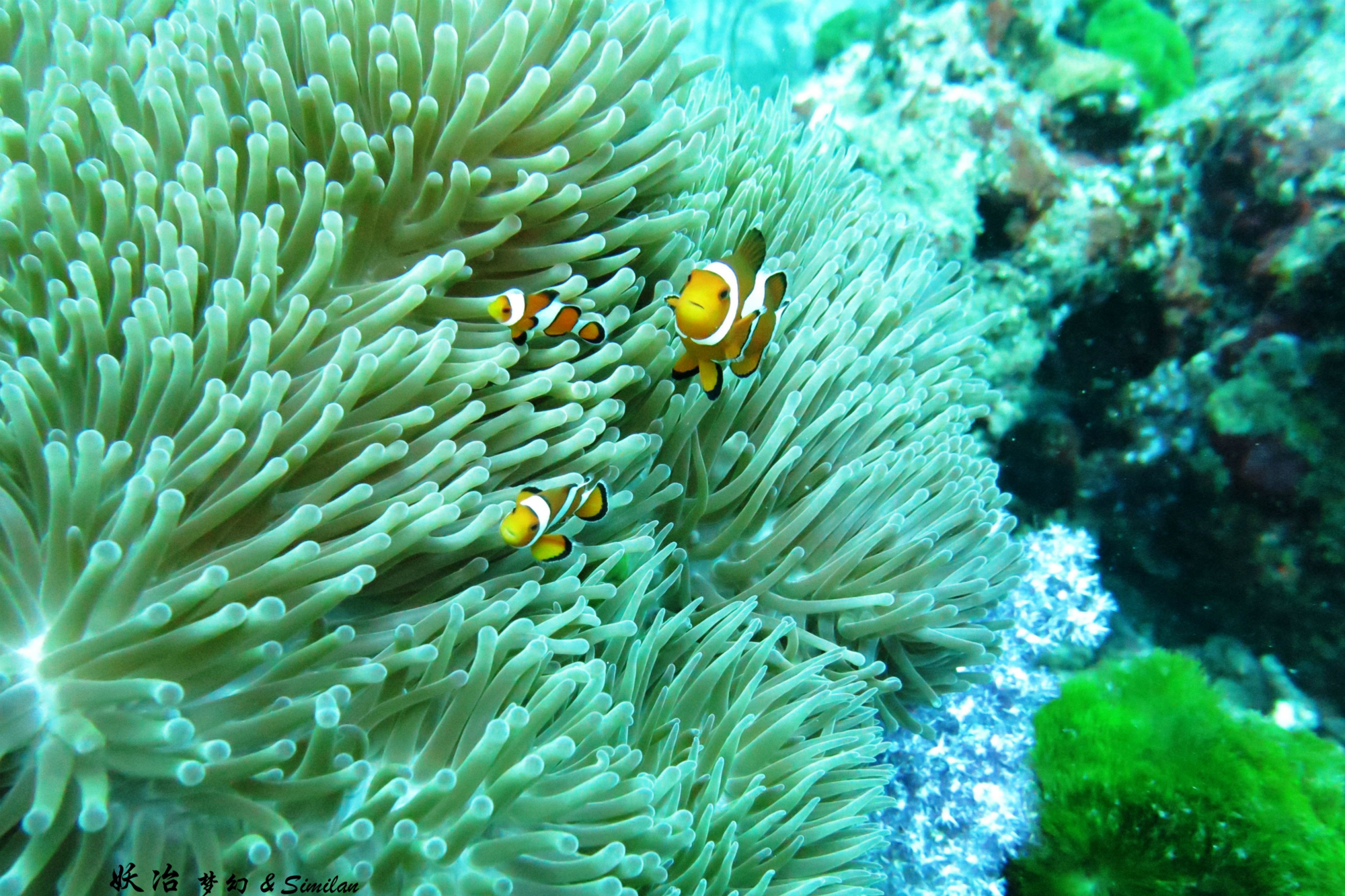 怎么去无人居住的海岛,船宿最值得去的地方