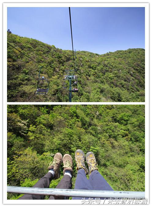 张家界森林公园黄龙洞,张家界天门山森林公园四天攻略