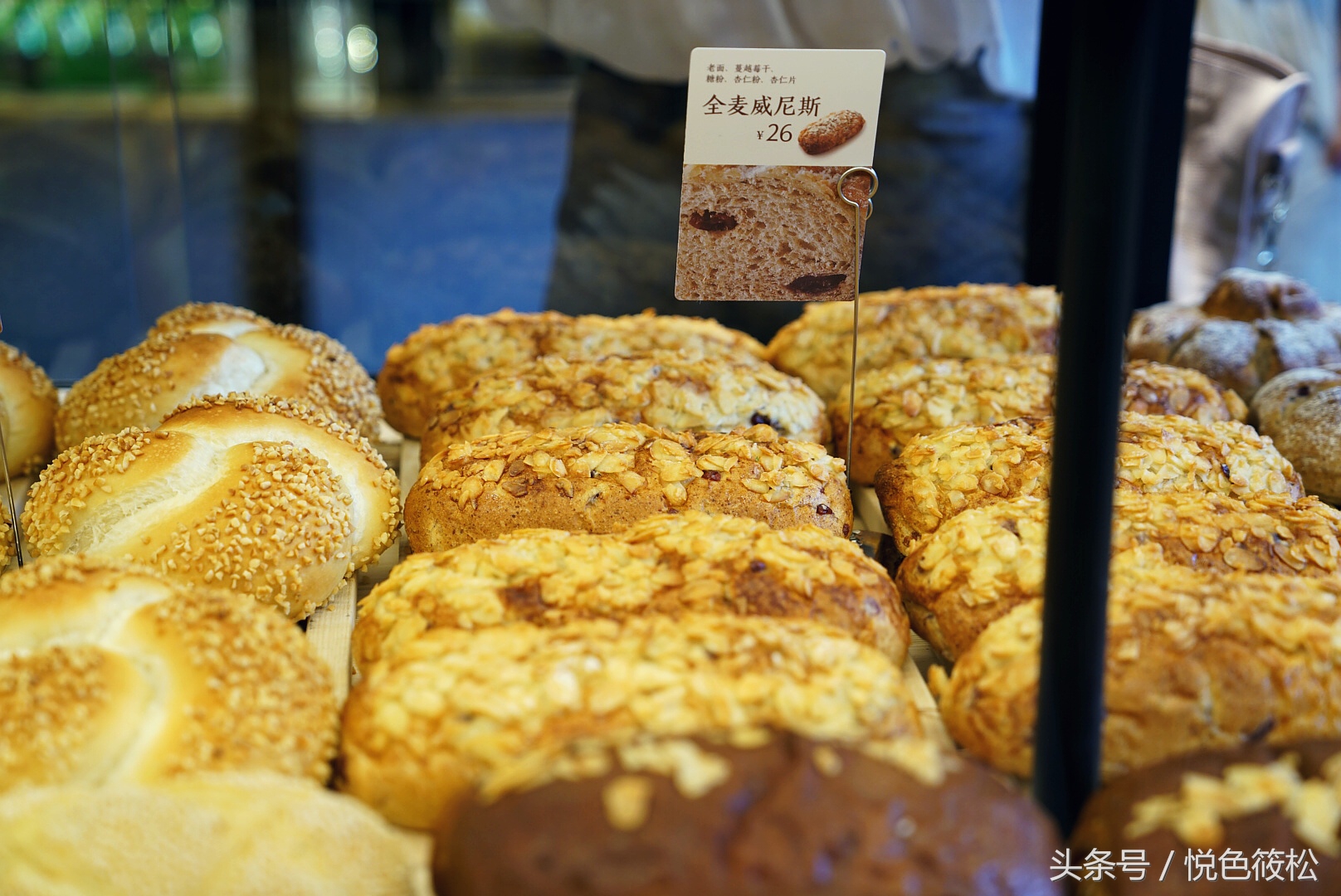 原麦山丘比其它面包好在哪,大连全麦面包哪家好吃