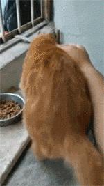 两辆车发生碰撞双方都在看手机,两辆车发生刮擦一辆车走了