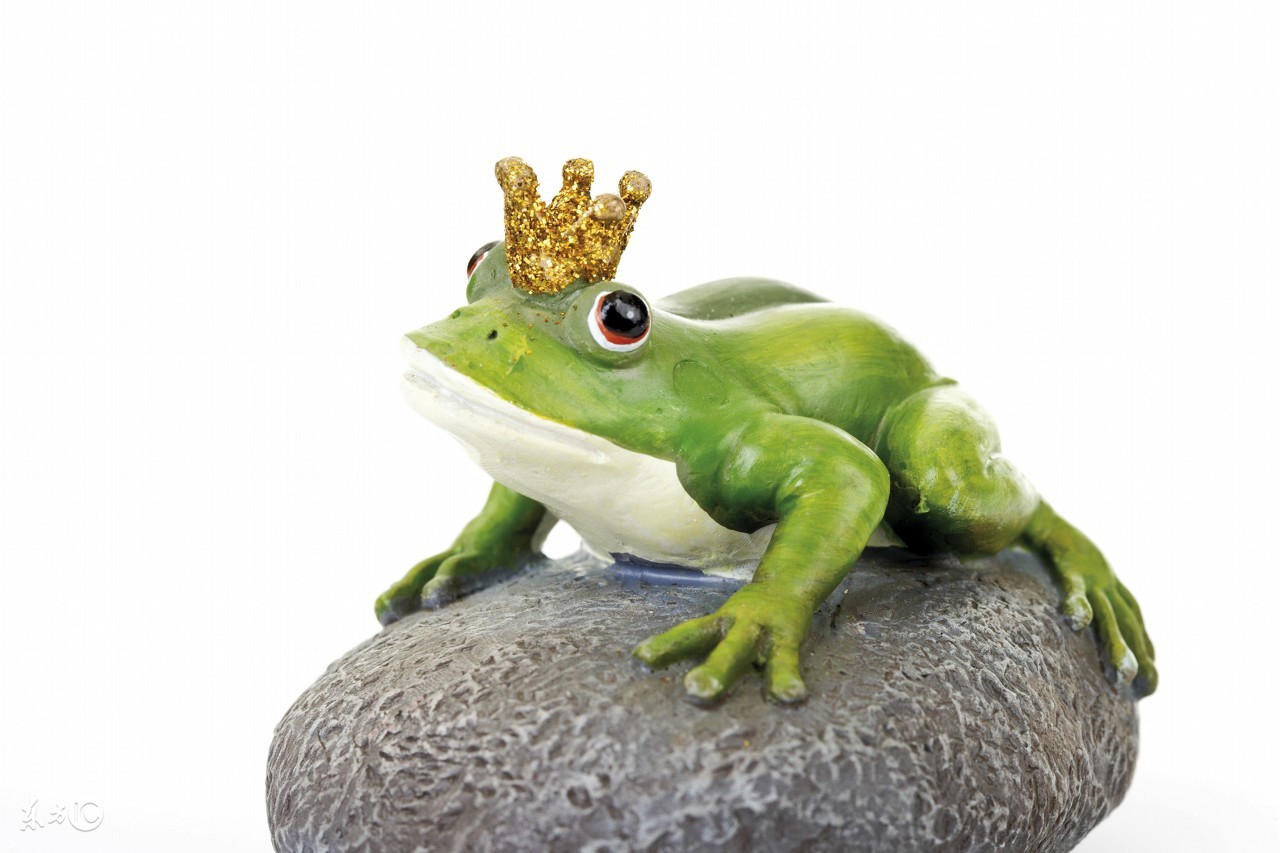 大象恃强凌弱踩死雏雁，大雁联合苍蝇青蛙智取强敌，最终以弱胜强