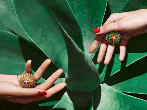 唐晶戴的项链 (唐晶配饰)