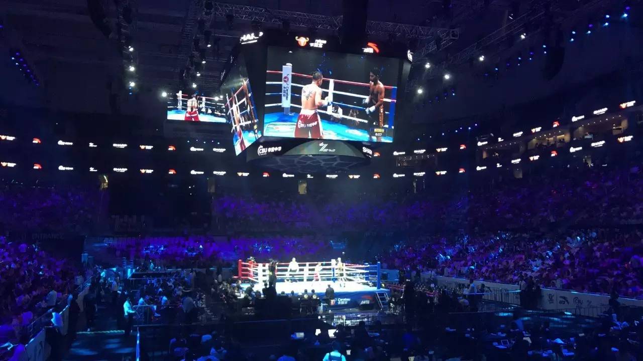 邹市明最后一战,邹市明的成长经历