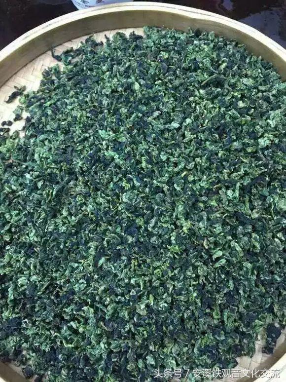 对铁观音的误解,关于铁观音的误解