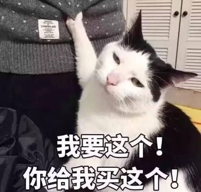 日系开价彩妆眼影好用吗,成熟风格彩妆