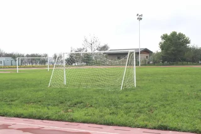 樱花湖赏樱花的最佳位置,樱花湖上