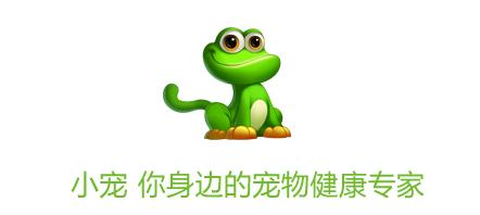 养猫后晚期癌症居然不治而愈！养宠物有这么神奇吗？